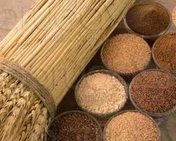 Thị trường ngũ cốc thế giới ngày 20/9: Giá lúa mì kỳ hạn tăng mạnh nhất trong 3 tuần