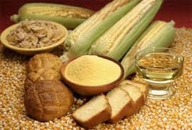 Thị trường ngũ cốc Chicago ngày 6/6: Giá đậu tương tăng, ngô và lúa mì giảm