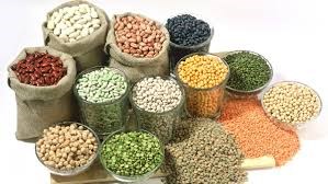 Thị trường NL TĂCN thế giới ngày 13/4: giá lúa mì giảm 2%