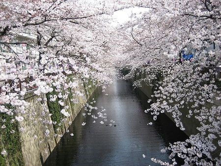 Xuất khẩu hàng hoá của Việt Nam sang Nhật Bản 2 tháng đầu năm 2010 tăng 25,1% về trị giá