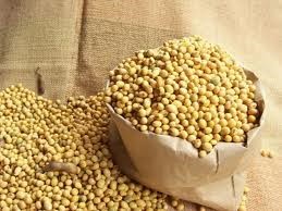 Xuất khẩu khô đậu tương của Ấn Độ trong tháng 6 giảm xuống mức thấp kỷ lục