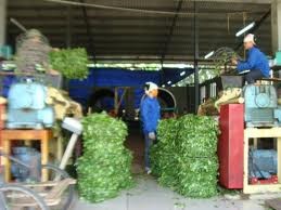 Xuất khẩu mây, tre, cói thảm 3 quý đầu năm chiếm 0,2% trong tổng kim ngạch