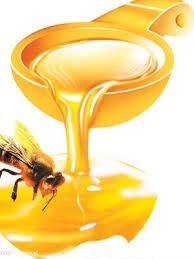 Tình hình xuất khẩu mật ong Việt Nam vào Mỹ năm 2013