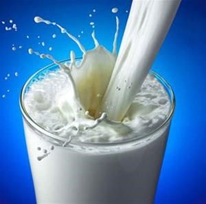 Nhập khẩu sữa tăng trưởng kim ngạch trong tháng đầu năm 2013
