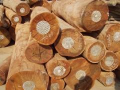 Xuất khẩu gỗ và sản phẩm kim ngạch tiếp tục tăng trưởng