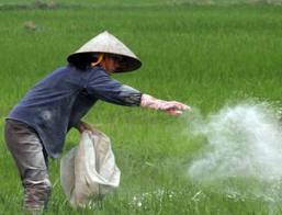 Trung Quốc – thị trường chính cung cấp thuốc trừ sâu và nguyên liệu cho Việt Nam