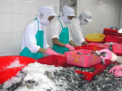 Sản lượng thủy sản khai thác 8 tháng 2014 tăng 4%