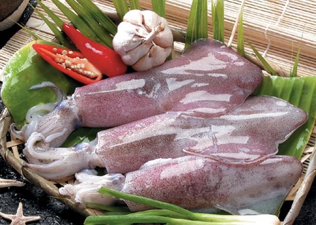 Thị trường xuất khẩu mực và bạch tuộc Việt Nam 11 tháng đầu năm 2012