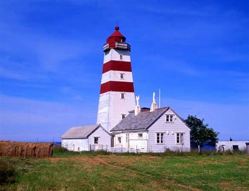 Thống kê kim ngạch XNK 5 tháng đầu năm 2010 của Việt Nam và Na Uy