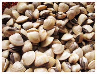Tháng 1/2010 xuất khẩu trên 27,4 triệu USD nhuyễn thể thân mềm