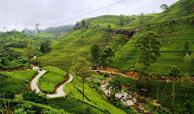 Việt Nam – Sri Lanka, hứa hẹn phát triển thương mại trong năm tới
