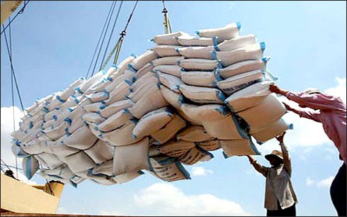 Xuất khẩu gạo sang các thị trường sụt giảm mạnh